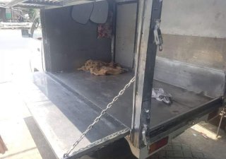 Suzuki Carry 2008 - Cần bán xe Suzuki Carry năm sản xuất 2008, màu trắng, nhập khẩu