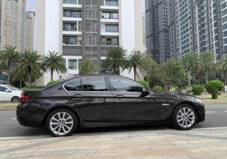 BMW 5 Series 520i 2016 - Cần bán gấp BMW 5 Series 520i sản xuất năm 2016, màu nâu