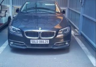 BMW 5 Series 528i 2016 - Bán BMW 5 Series 528i đời 2016, màu xám