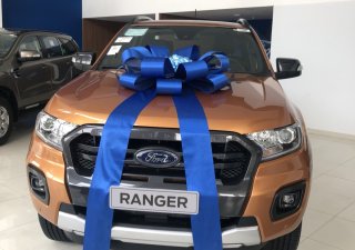 Ford Ranger Wildtrack 2019 - Bán Ford Ranger Wildtrack sản xuất 2019 giá tốt