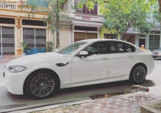 BMW 5 Series  520i  2016 - Cần bán gấp BMW 5 Series 520i 2016, màu trắng, ĐKLĐ 2017