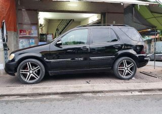 Mercedes-Benz ML Class 320 2002 - Bán xe Mercedes ML 320 năm 2002, xe nhập chính chủ, 315tr