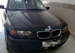 BMW 3 Series   318i   2013 - Bán BMW 318i sản xuất 2013, màu đen, ít sử dụng
