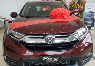 Honda CR V  1.5L 2019 - Cần bán Honda CR V đời 2019, màu đỏ, xe nhập