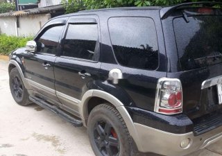 Ford Escape 2004 - Nhượng lại xe Ford Escape 2004, màu đen số tự động 