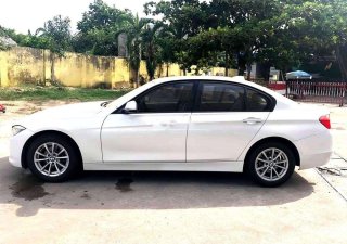 BMW 3 Series  320i 2013 - Bán BMW 3 Series 320i đời 2013, màu trắng, nhập khẩu, 770 triệu