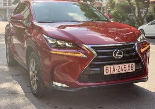 Lexus NX 2016 - Bán Lexus NX đăng ký lần đầu 2016, màu đỏ, nhập khẩu nguyên chiếc