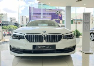 BMW 5 Series 2019 - BMW 5 Series 520i, màu trắng, nhập khẩu Đức, sang trọng, đẳng cấp