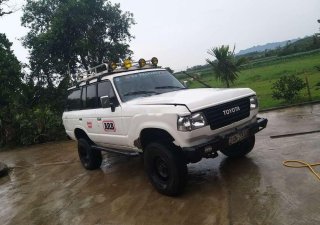Toyota Land Cruiser   1981 - Bán Toyota Land Cruiser đời 1981, màu trắng, nhập khẩu giá cạnh tranh