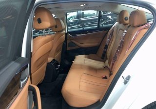 BMW 5 Series 2019 - Bán xe BMW 520i sản xuất năm 2019, màu trắng