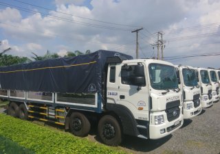 Hyundai HD 320-17,6T 2025 - Cần bán Hyundai HD320-18T  màu trắng