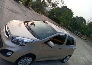 Kia Picanto 2013 - Bán ô tô Kia Picanto AT sản xuất 2013, nhập khẩu nguyên chiếc số tự động