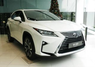 Lexus RX 2020 - Bán nhanh với gái ưu đãi - Tặng phụ kiện chính hãng khi mua chiếc Lexus RX300, sản xuất 2020