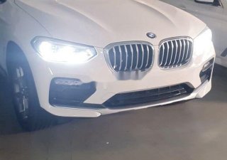 BMW X4   2019 - Cần bán xe BMW X4 đời 2019, xe nhập