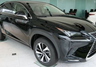 Lexus NX 300 2020 - Bán xe hạng sang - Chính hãng 100%: Lexus NX 300 sản xuất 2020, màu đen