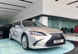 Lexus ES 2020 - Bán xe sang - Giá ưu đãi với chiếc Lexus ES250, sản xuất 2020, xe nhập khẩu, giao nhanh