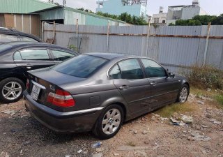 BMW 3 Series   318i   2002 - Bán BMW 3 Series 318i năm sản xuất 2002, màu xám, nhập khẩu
