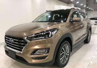 Hyundai Tucson 2.0L 2019 - Bán xe Hyundai Tucson 2.0L sản xuất năm 2019, màu nâu, giá chỉ 880 triệu