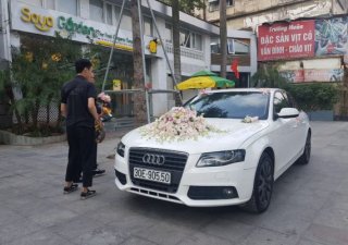 Audi A4 2010 - Cần bán lại xe Audi A4 đời 2010, màu trắng, chính chủ giá cạnh tranh