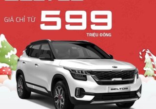 Kia Kia khác 2020 - Bán xe Kia Seltos đời 2020, màu trắng, giá chỉ 599 triệu