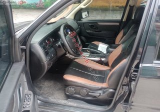 Ford Escape   AT  2009 - Cần bán xe Ford Escape AT năm sản xuất 2009, màu đen còn mới
