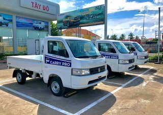 Suzuki Carry 2021 2021 - Bán Suzuki Carry Pro 2021, màu trắng