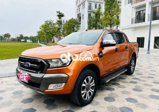 Ford Ranger  Wildtrack  2017 - Cần bán lại xe Ford Ranger Wildtrack năm sản xuất 2017, màu nâu còn mới