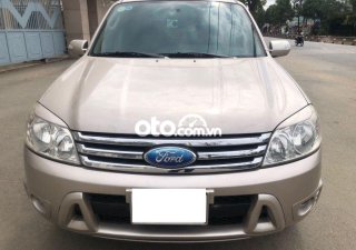 Ford Escape AT 2009 - Bán ô tô Ford Escape AT đời 2009, màu vàng còn mới, giá chỉ 305 triệu