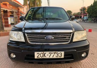 Ford Escape AT 2004 - Bán Ford Escape AT năm sản xuất 2004, màu đen, giá tốt