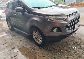 Ford EcoSport Titanium  2016 - Cần bán lại xe Ford EcoSport Titanium năm 2016, màu xám chính chủ, 420tr