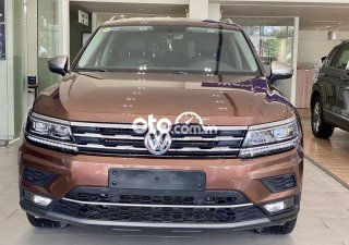 Volkswagen Tiguan 2017 - Màu nâu, xe nhập