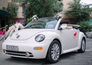 Volkswagen New Beetle 2004 - Màu kem (be), nhập khẩu, giá 430tr