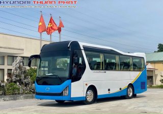 Hyundai Tracomeco 2022 - Hino 29 ghế new