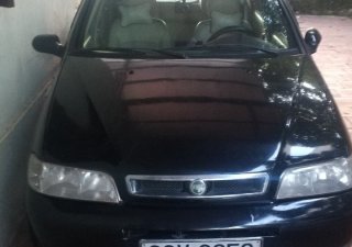 Fiat Albea 2007 - Fiat Albea 2007