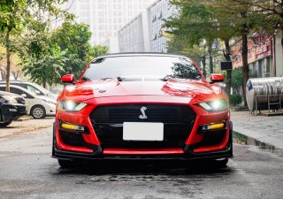 Ford Mustang 2021 - Phiên bản mui trần độ full đồ bản Shelby cực chất