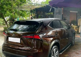 Lexus NX 300 2019 - Màu nâu