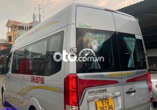 Hyundai Solati  cọp 2019 2019 - Solati cọp 2019