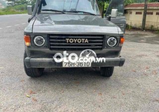 Toyota Land Cruiser can ban gap 1984 - can ban gap