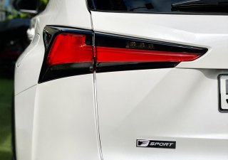 Lexus NX 300 2018 - Model 2019