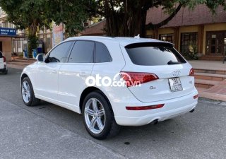 Audi Q5 Cần bán  Q.5 2010 - Cần bán Audi Q.5