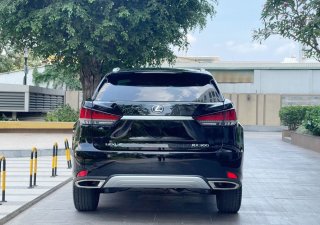 Lexus RX 300 2021 - Xe màu đen