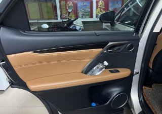 Lexus RX 300 2020 - Xe cọp