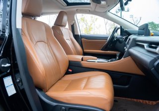 Lexus RX 300 2019 - Cần bán xe màu đen