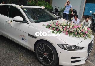 Jaguar XE   đời cuối 2015, màu trắng, máy zin 2015 - Jaguar XE đời cuối 2015, màu trắng, máy zin