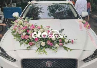 Jaguar XE   đời cuối 2015, màu trắng, máy zin 2015 - Jaguar XE đời cuối 2015, màu trắng, máy zin