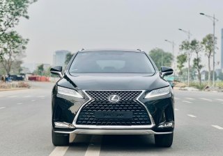 Lexus RX 300 2019 - Đăng ký 2020