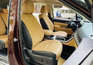 Kia Carnival 2022 - Màu đỏ Bordeaux siêu sang