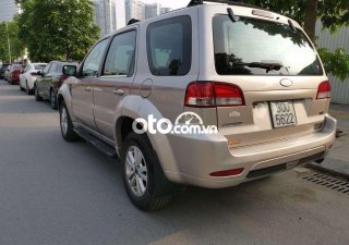 Ford Escape Số tự động gầm cao giá rẻ   2009 2009 - Số tự động gầm cao giá rẻ Ford Escape 2009