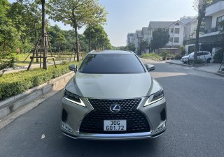 Lexus RX 300 2020 - 1 chủ tên cty xuất hoá đơn 1,5 tỷ