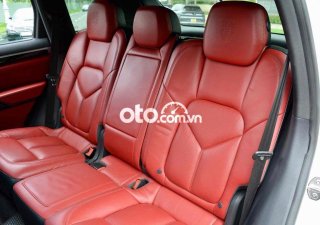 Porsche Cayenne   Platinum Edition model 2018 2017 - Porsche Cayenne Platinum Edition model 2018